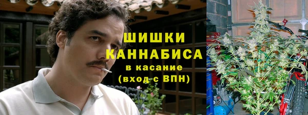 сатива Арсеньев