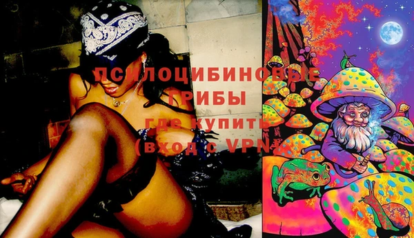 MESCALINE Иннополис