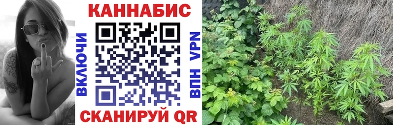 Канабис Bruce Banner Бокситогорск